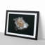 A White Rose in Abstract - Framed Print-55629450-55629451
