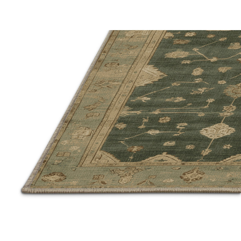 Machine Washable Overdyed Brown Area Rug, Rectangle 5' x 7'