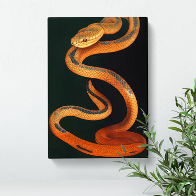 Amber Snake - Wrapped Canvas Print