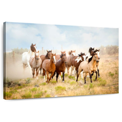 Herd Of Country Horses