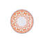 Mattapan Piece Porcelain China Dinnerware Set - Service for 6-848728403