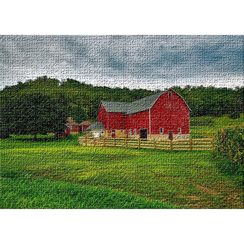 Indoor Rug, Rectangle 5' x 7'