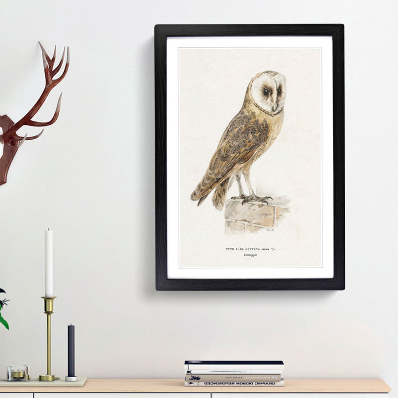 Perched Owl by Von Wright - Picture Frame Painting Print, 87cm H x 62cm W x 2cm D, Black Framed