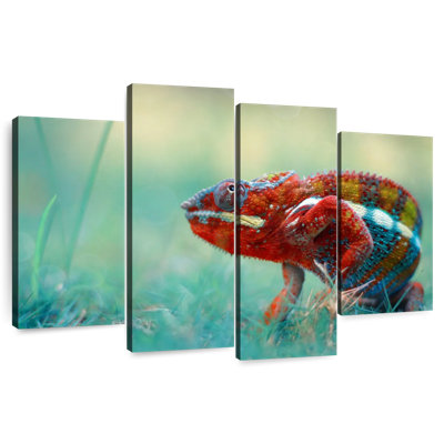 Vibrant Chameleon