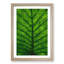 Green Leaf Lines - Single Picture Frame Painting on MDF-56739842-56739851