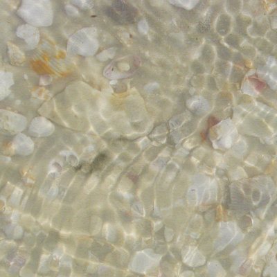 Carrés de coquillages I