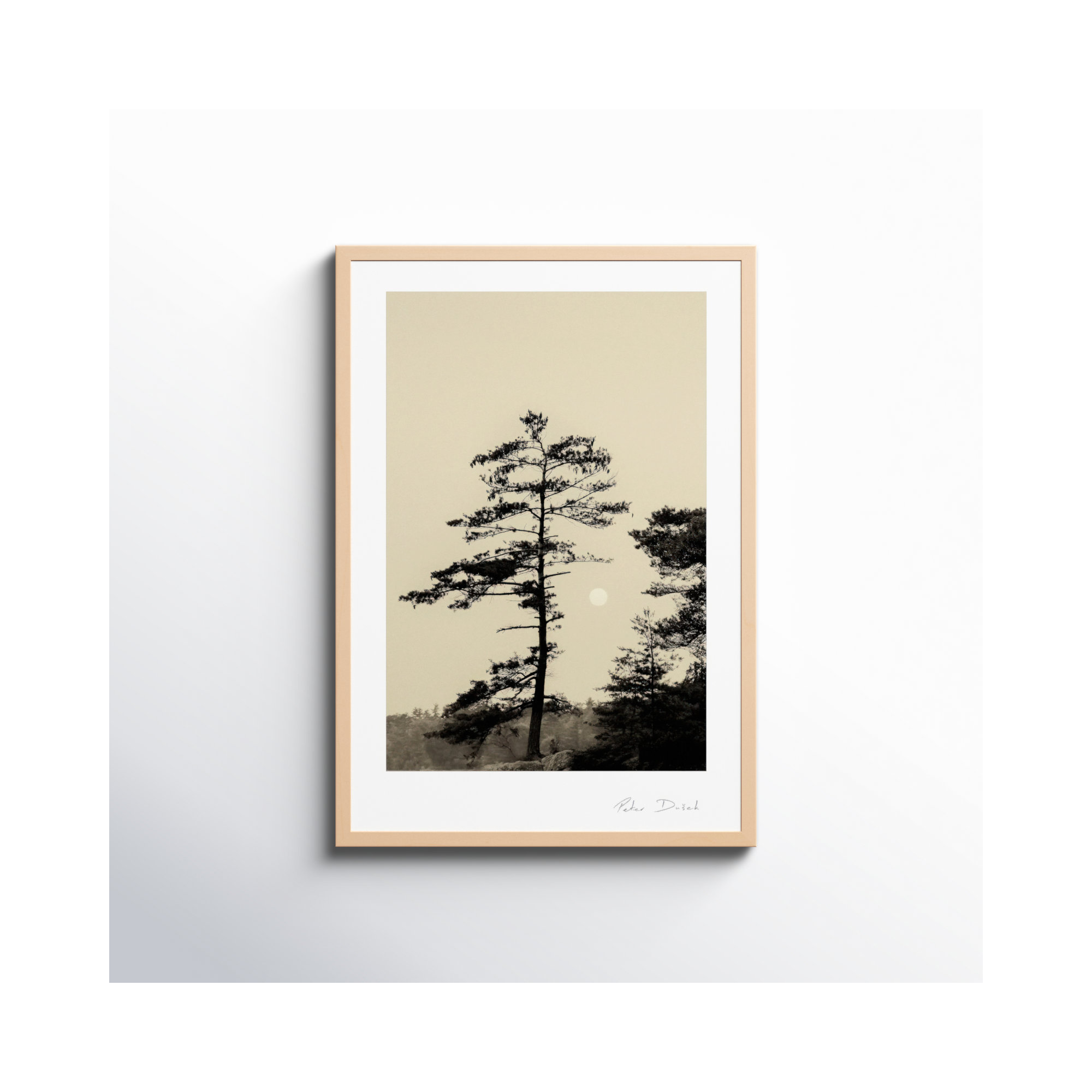 Serenity by Peter Dušek, Brown, 50" H x 35" W x 1.25" D