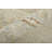 Sonza Performance Wool Floral Indoor Rug-435120686