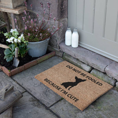 Viviene Non-Slip Outdoor Doormat