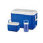 Dakota Fields Picnic Cooler in Blue