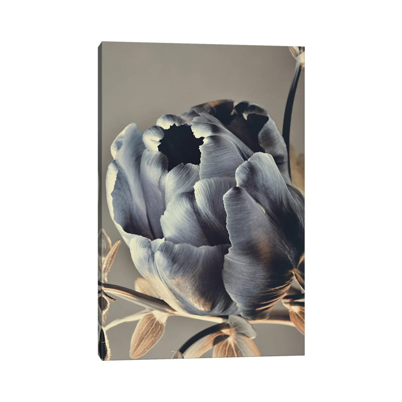 Baroque III 1 Piece Painting on Canvas, 101.6cm H x 66.04cm W x 1.91cm D, Wrapped Canvas