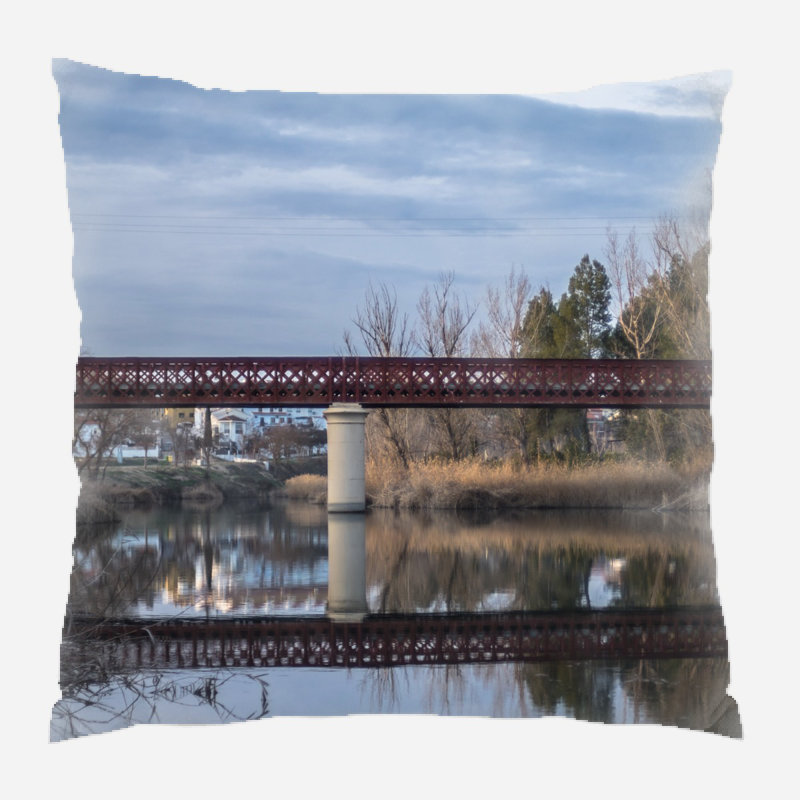 Demetra Outdoor Reversible Throw Pillow, Microsuede, Indoor