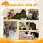 Myla Scratching Post-34715303