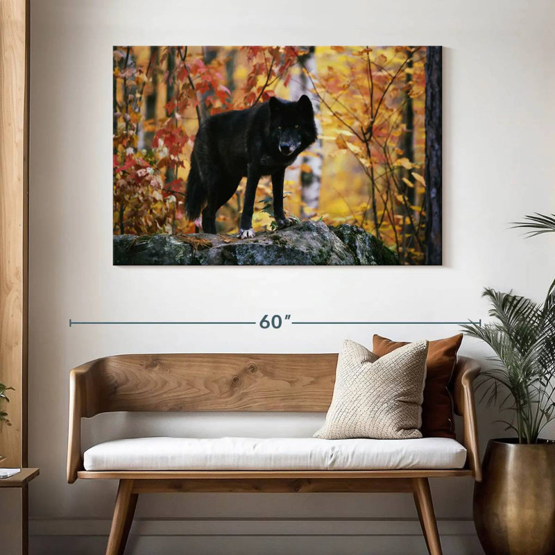 Loup noir d'automne, H 32 po x l 48 po
