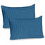 Ensemble de 2 taies décoratives simples Ambesonne-99909602