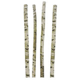 250cm Birch Trunk