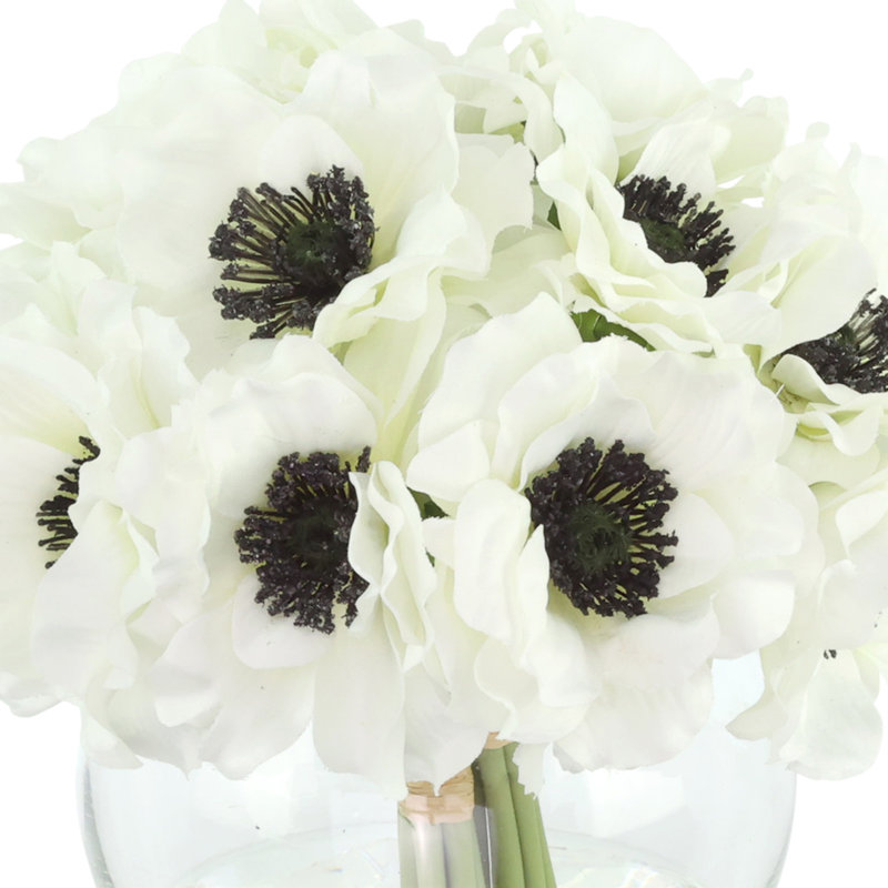 Anémone disposée dans un vase en verre