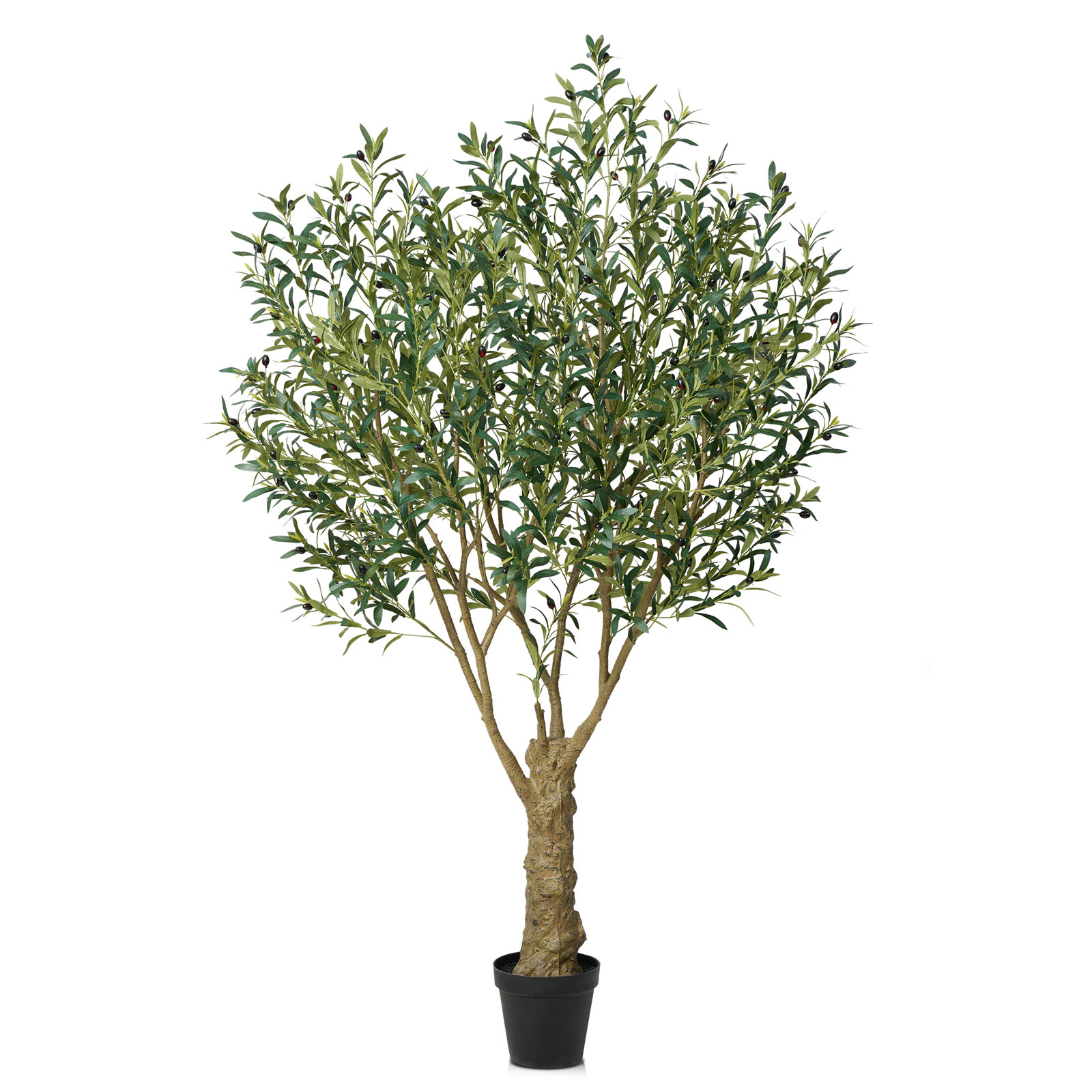 Aldis 96" Olive Tree in Pot, 84" H x 50" W x 50" D