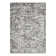 Ariez Oriental Indoor Rug