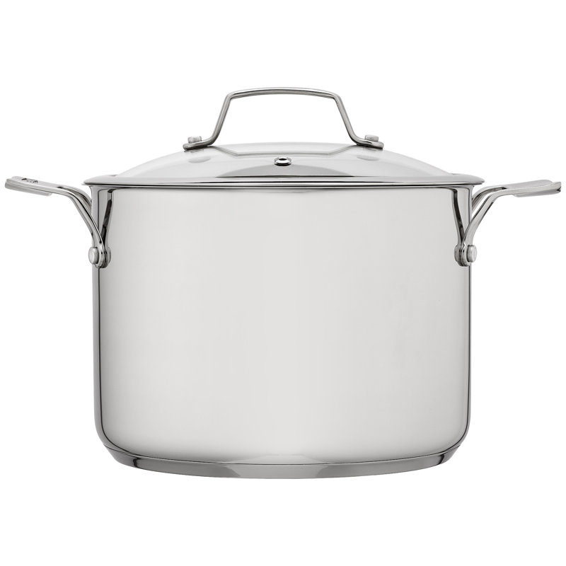 Stellar 18/10 Stainless Steel 22cm Stockpot with Glass Lid