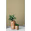 Jaze Scratched Plain-1690976567