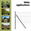 Galvanised Steel Border Fencing-490250455-490250444