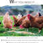 Poulet en acier galvanisé et aluminium - 25 lb, pour une expérience d'alimentation supérieure