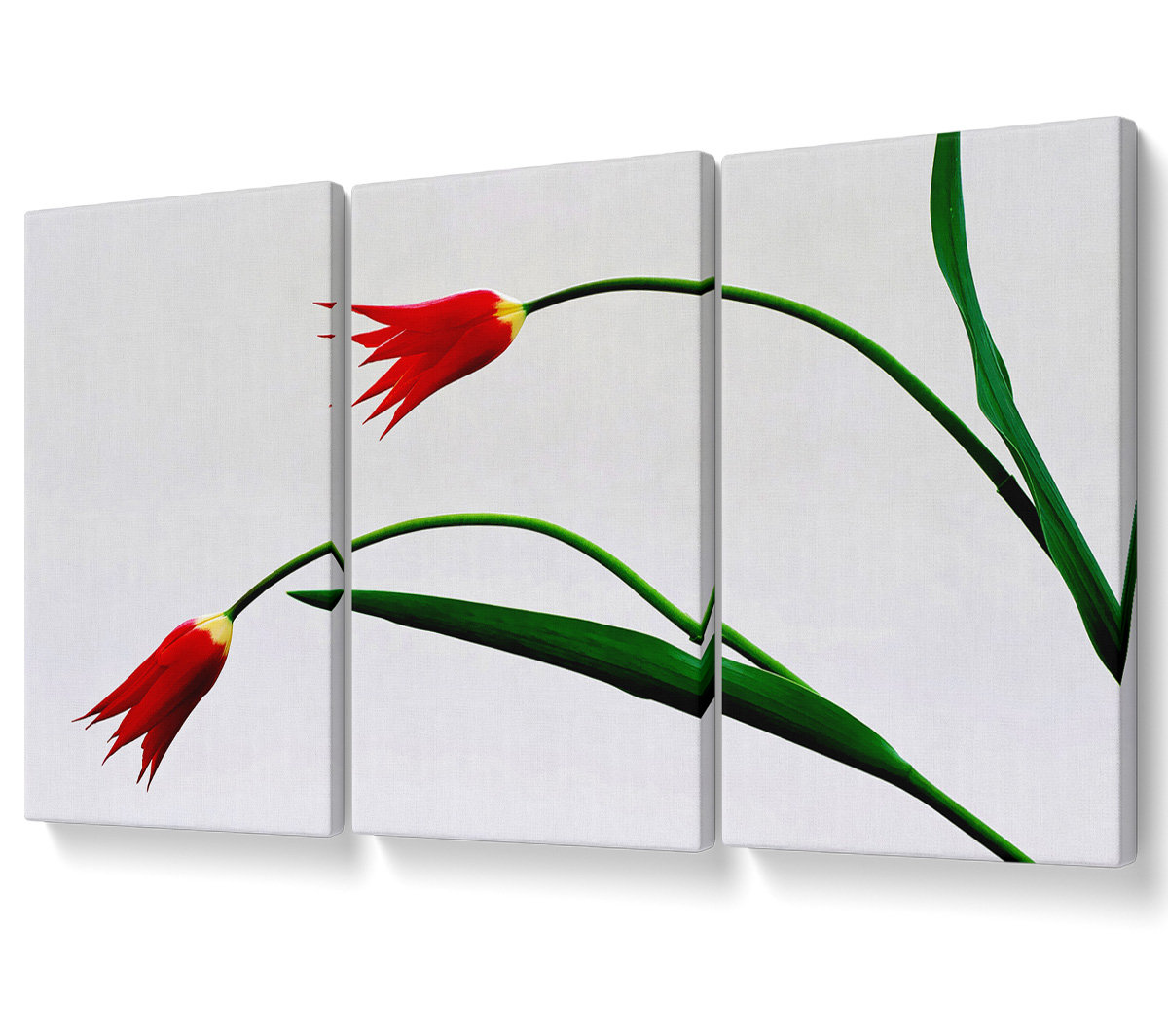 Ebern Designs Twin Fire Tulips - 3 Piece Wrapped Canvas Graphic Art ...
