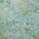Machine Washable Indoor/Outdoor Kaczor ACN2224 Floral Rug