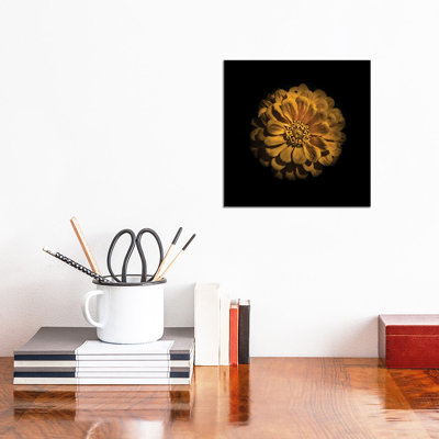 Yellow Zinnia by Brian Carson - Wrapped Canvas Print
