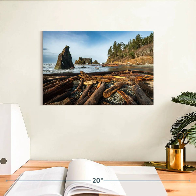 Bois flottant Alvord Ruby Beach, H 8 po x l 12 po