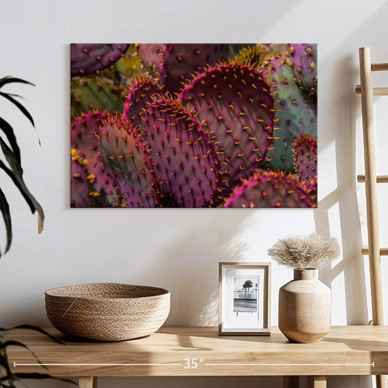 Harnek Angel Wing Cactus, 16" H x 24" W