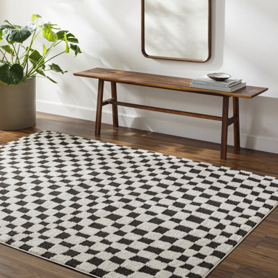 Caiah Checkered Machine Woven Polyester Area Rug in Black/Ivory