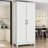Minimalist 2-Door Storage Cabinet With Shelf & Drawer