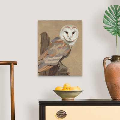 «Common Barn Owl Portrait I» par Jacob Green - reproduction de photo