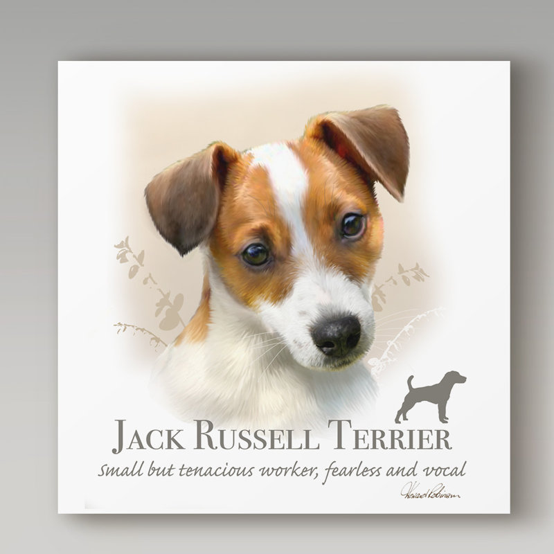 « jack olivier terrier », reproduction d’impression sur toile tendue, H 24 po x l 24 po x P 2 po