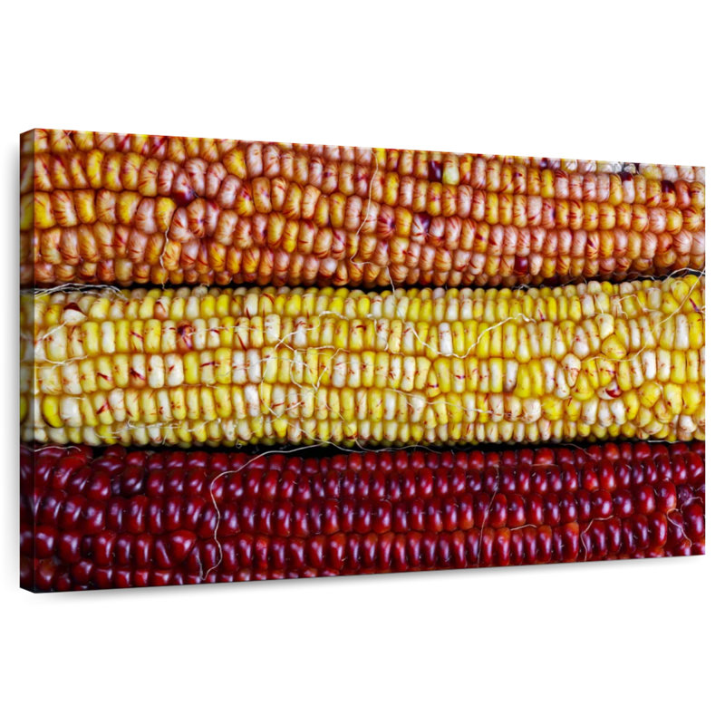 Harnek Indian Corn Varieties, 16" H x 24" W