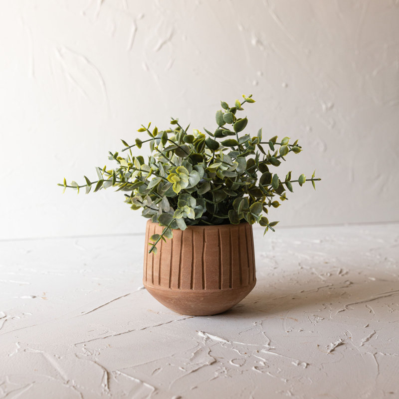 Terracotta Indoor Pot Planter