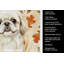 Serviette de cuisine tricolore Sheltie-2083472831