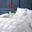 Housse de couette en duvet d'oie 100% coton biologique toutes saisons-66345004