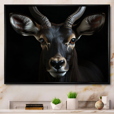 Keillan " Antelope Portrait II "