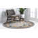 Eddins Washable Oriental Indoor Rug