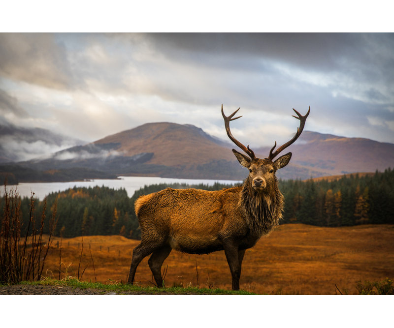 Wrapped Canvas Print, 60.96 cm H x 91.44 cm W