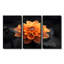 Dahlia noir et jaune en photo monochrome - ensemble d'art mural Dahlia-107163741-107163749