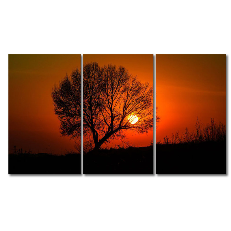 3 Piece Wrapped Canvas Print