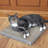 Scratching Post