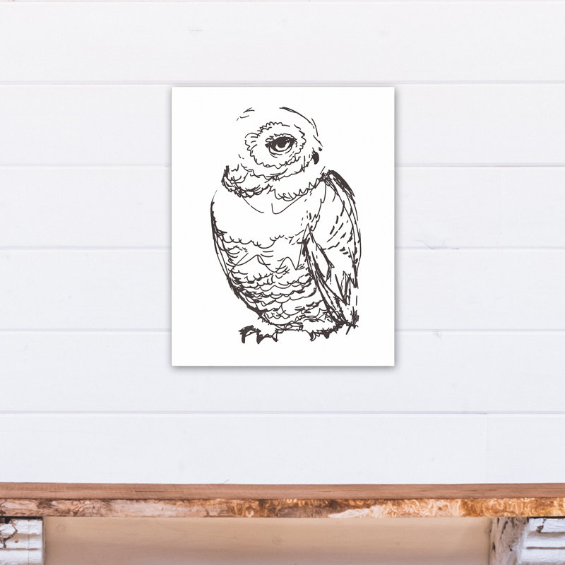 " Owl Sketch "
