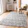 Paz Hand Woven Performance Chevron Rug
