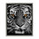 Art mural sur toile Fierce Eyed Tiger Floater par Danita Delimont