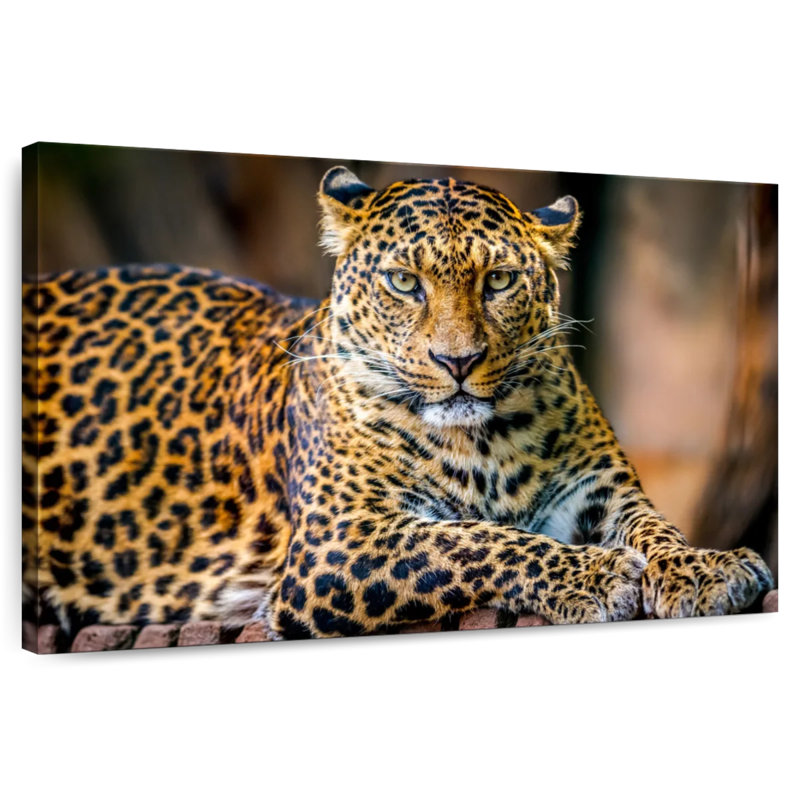 Brampt Jungle Wildlife Leopard, 16" H x 24" W